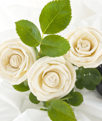 Flowers - Funeral Arrangements